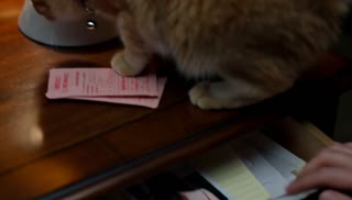 Staying Over in His Secret Room — Feeding Little Bean accidentally reveals the room's private map of attention.