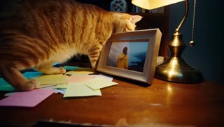 Staying Over in His Secret Room — private room exploration viewed through animals-nature.